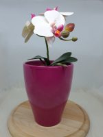 Keramičen cvetlični lonček za orhideje različne barve: Hvala, da nam pomagaš/pomagate rasti. - slika 4