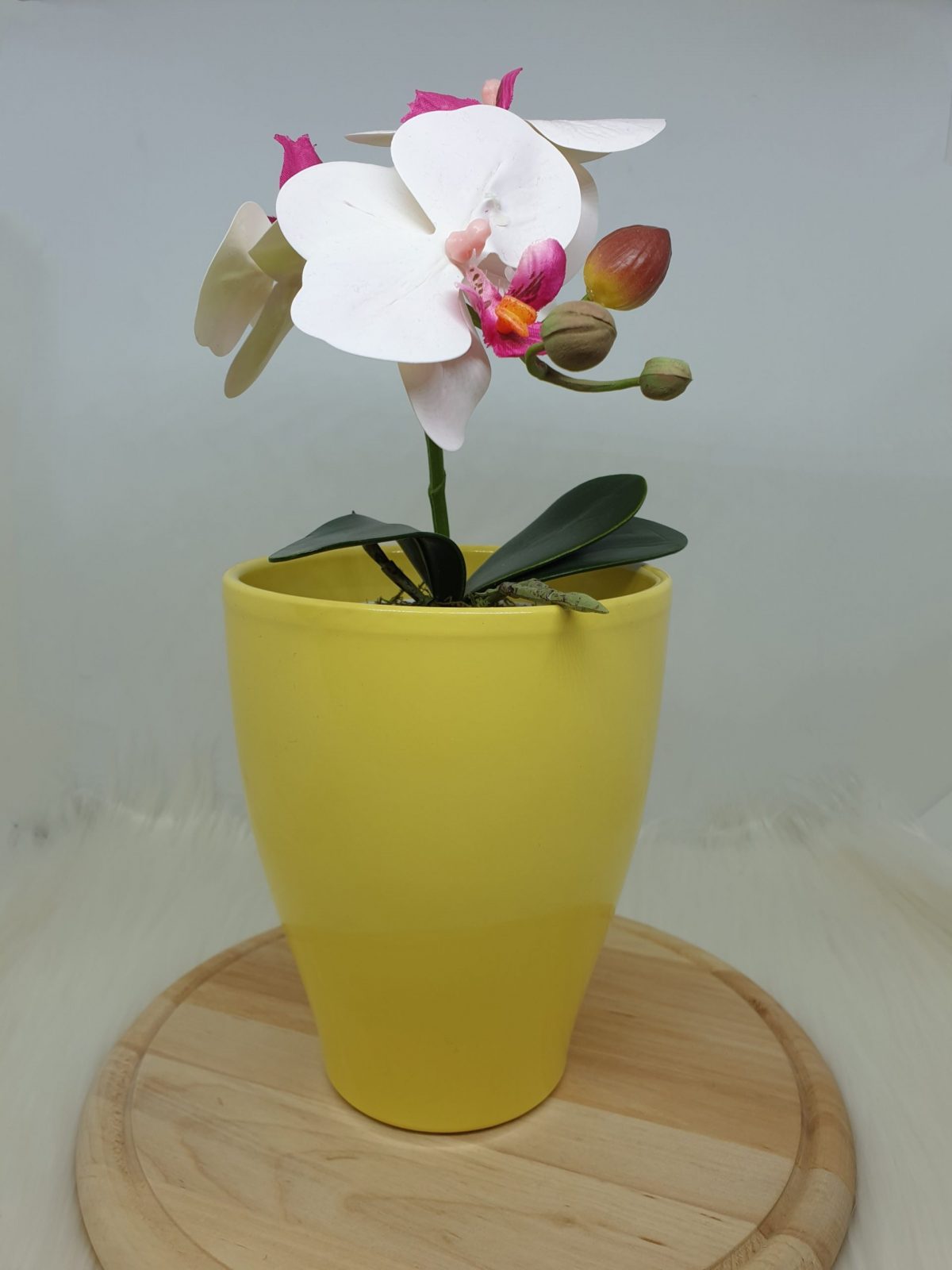 Keramičen cvetlični lonček za orhideje različne barve: Hvala, da nam pomagaš/pomagate rasti. - slika 3