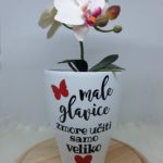 Keramičen cvetlični lonček za orhideje: male glavice