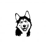 Nalepka kuža: haski