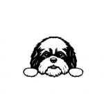 Nalepka kuža: Shih-tzu